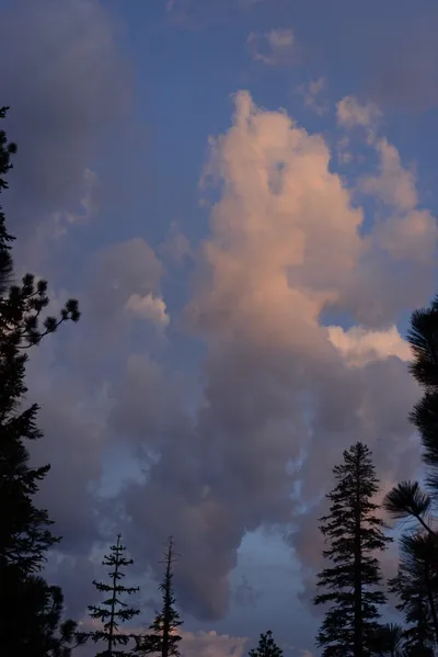 DSC_3041 (Large).JPG